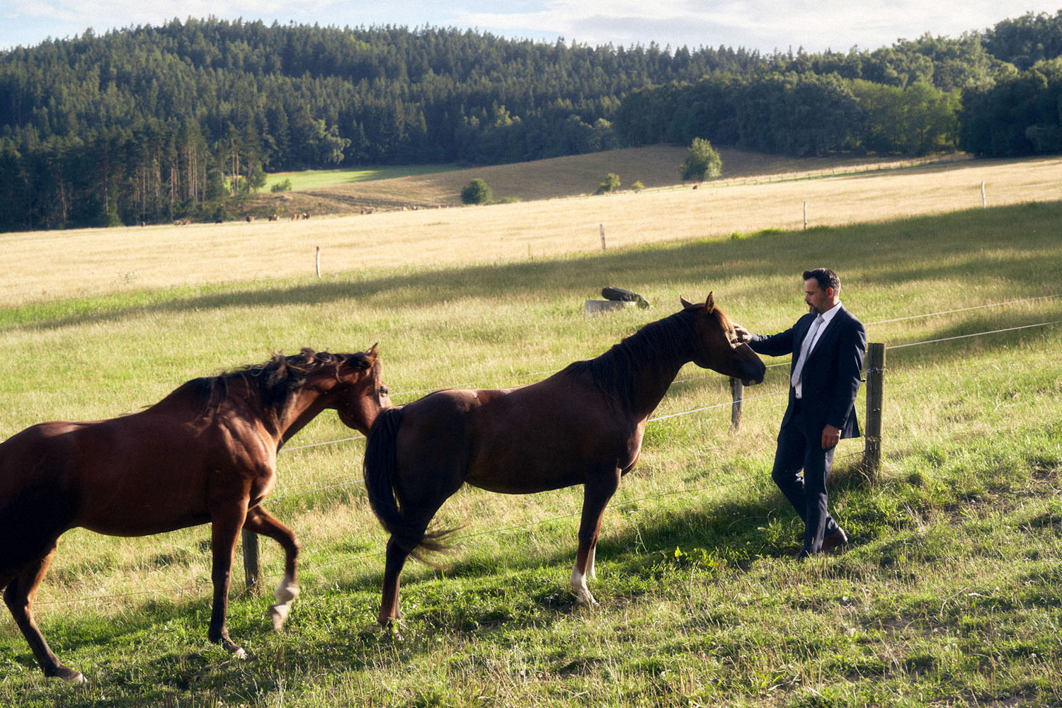 Svatby / Wedding