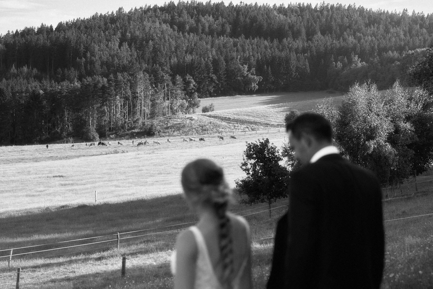 Svatby / Wedding