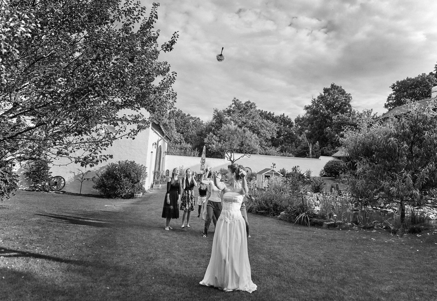 Svatby / Wedding